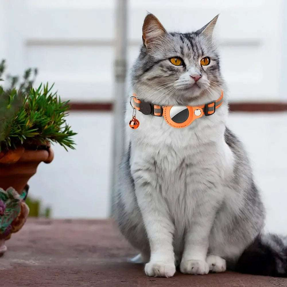 Reflective Cat Collar with Apple AirTag Holder & Breakaway Buckle